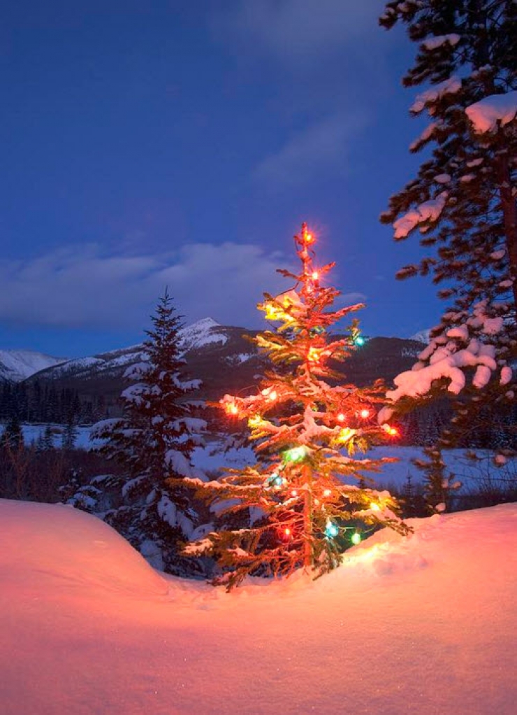 Illustration de l'article : Discover these 19 amazing decoration ideas that will light up your Christmas celebration... #2 is very easy to do!