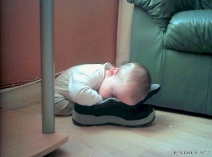 Illustration de l'article : Children can fall asleep anywhere, and these 31 photos prove it!