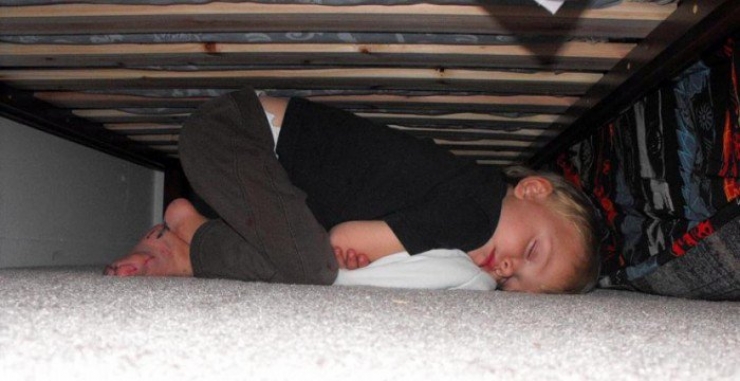 Illustration de l'article : Children can fall asleep anywhere, and these 31 photos prove it!