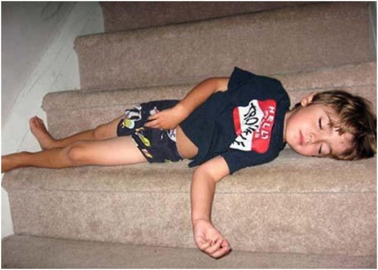 Illustration de l'article : Children can fall asleep anywhere, and these 31 photos prove it!