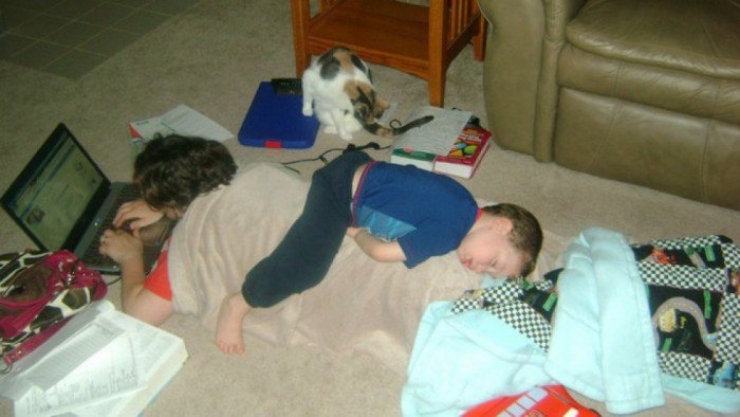 Illustration de l'article : Children can fall asleep anywhere, and these 31 photos prove it!