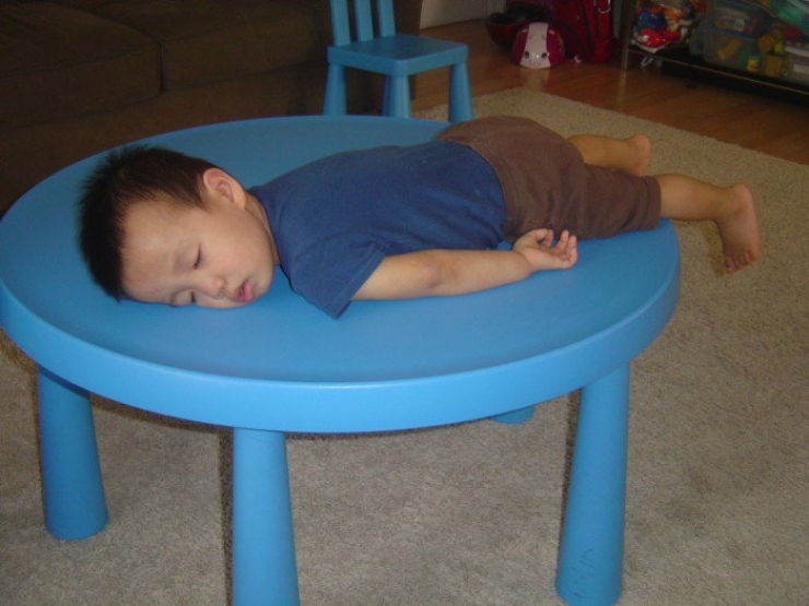 Illustration de l'article : Children can fall asleep anywhere, and these 31 photos prove it!