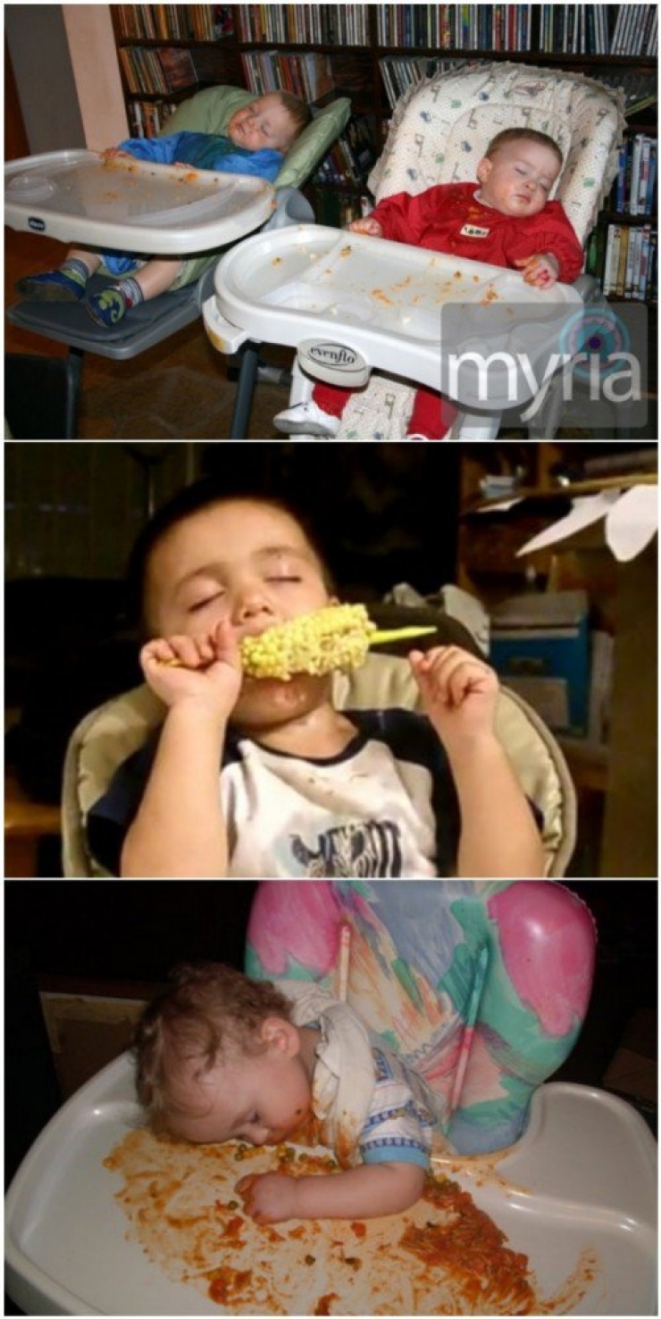 Illustration de l'article : Children can fall asleep anywhere, and these 31 photos prove it!