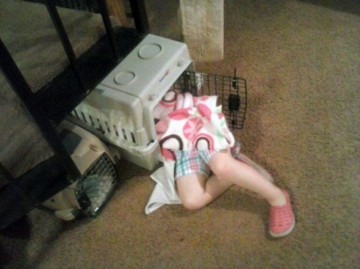 Illustration de l'article : Children can fall asleep anywhere, and these 31 photos prove it!