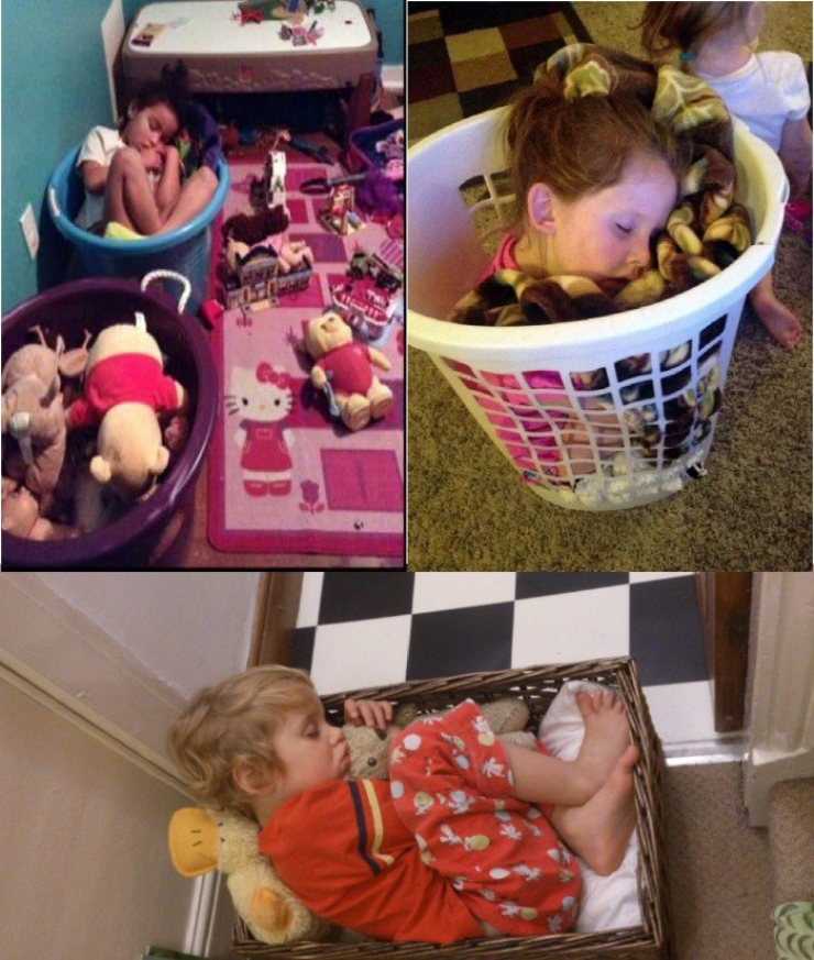 Illustration de l'article : Children can fall asleep anywhere, and these 31 photos prove it!