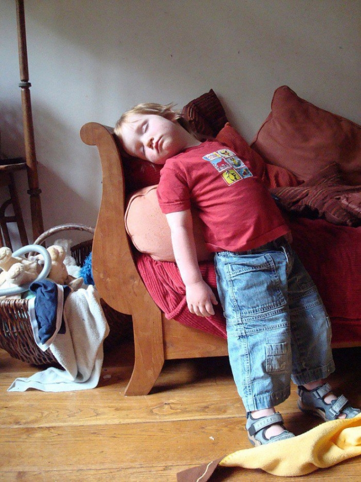 Illustration de l'article : Children can fall asleep anywhere, and these 31 photos prove it!