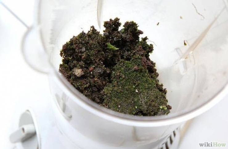 Illustration de l'article : What he makes is against the law, however it's truly amazing...