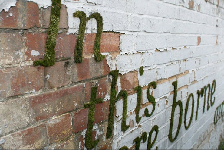 Illustration de l'article : What he makes is against the law, however it's truly amazing...