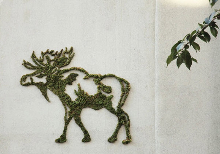 Illustration de l'article : What he makes is against the law, however it's truly amazing...