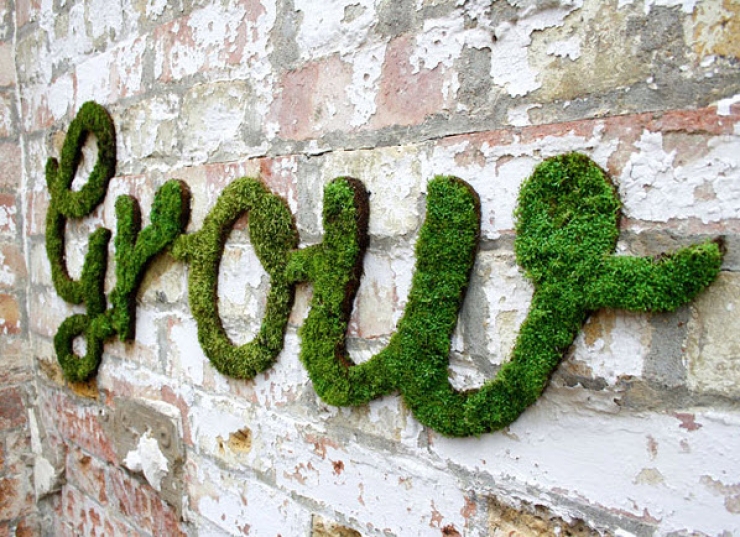 Illustration de l'article : What he makes is against the law, however it's truly amazing...