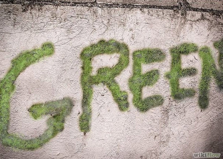 Illustration de l'article : What he makes is against the law, however it's truly amazing...