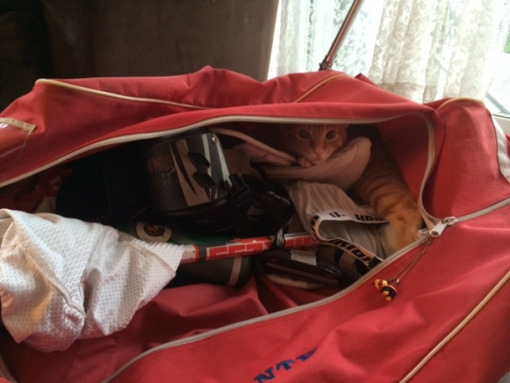 Illustration de l'article : Don't throw away those anti-moisture pouches that you find in your shoes anymore, because they can be very useful!