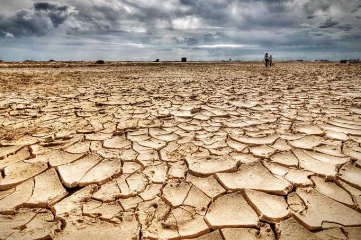 Illustration de l'article : 14 pictures that show us the disastrous consequences of global warming. It's terrifying!