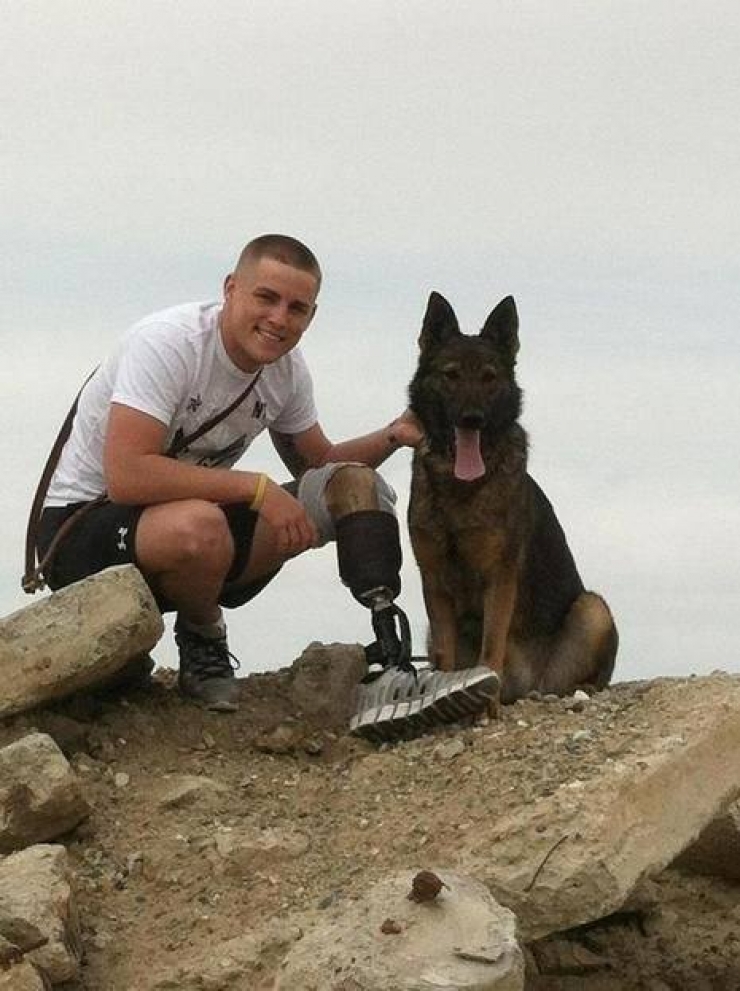 Illustration de l'article : We don't think about them as much, but here's tribute to all those dogs who are fighting to defend their countries... 31 pictures, each more touching than the last!