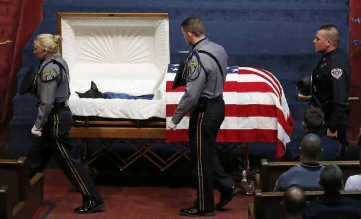 Illustration de l'article : We don't think about them as much, but here's tribute to all those dogs who are fighting to defend their countries... 31 pictures, each more touching than the last!