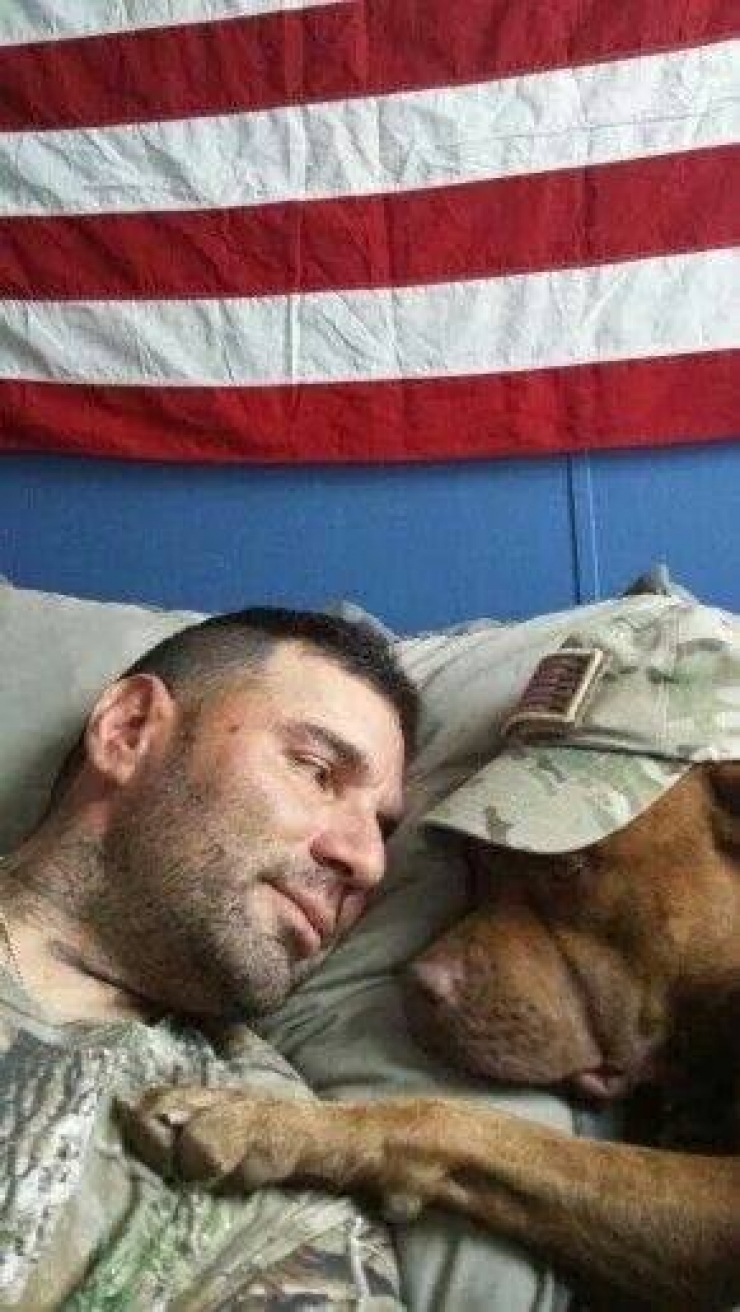 Illustration de l'article : We don't think about them as much, but here's tribute to all those dogs who are fighting to defend their countries... 31 pictures, each more touching than the last!