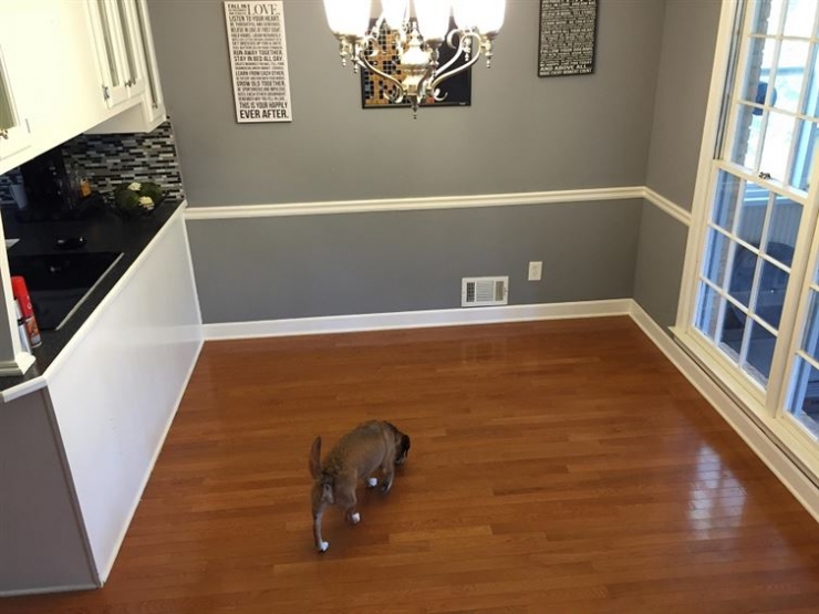 Illustration de l'article : He only needed to use some simple materials to completely transform his dining room... Wait until you see the results!