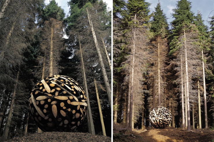 Illustration de l'article : For years he has been collecting wooden logs... Look at what he has made!