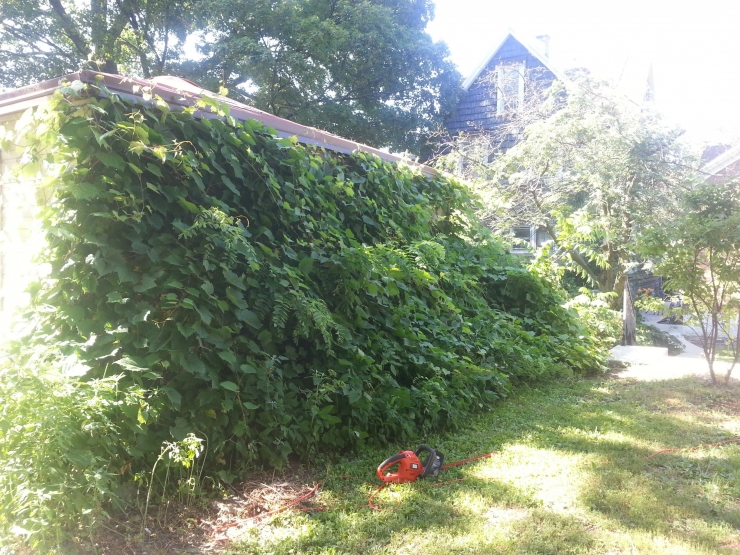 Illustration de l'article : His neighbors were sure that it wouldn’t be pretty, but now they want to build the same thing!