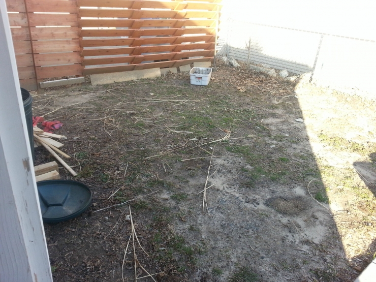 Illustration de l'article : His neighbors were sure that it wouldn’t be pretty, but now they want to build the same thing!