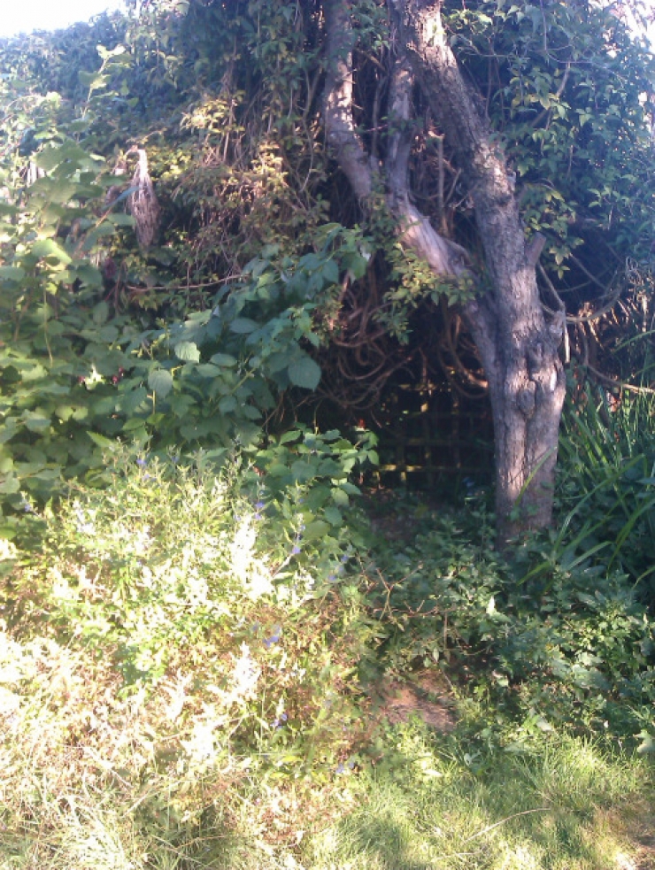 Illustration de l'article : He started by making a hole in the ground, and you'll want to do the same when you see what he's preparing!