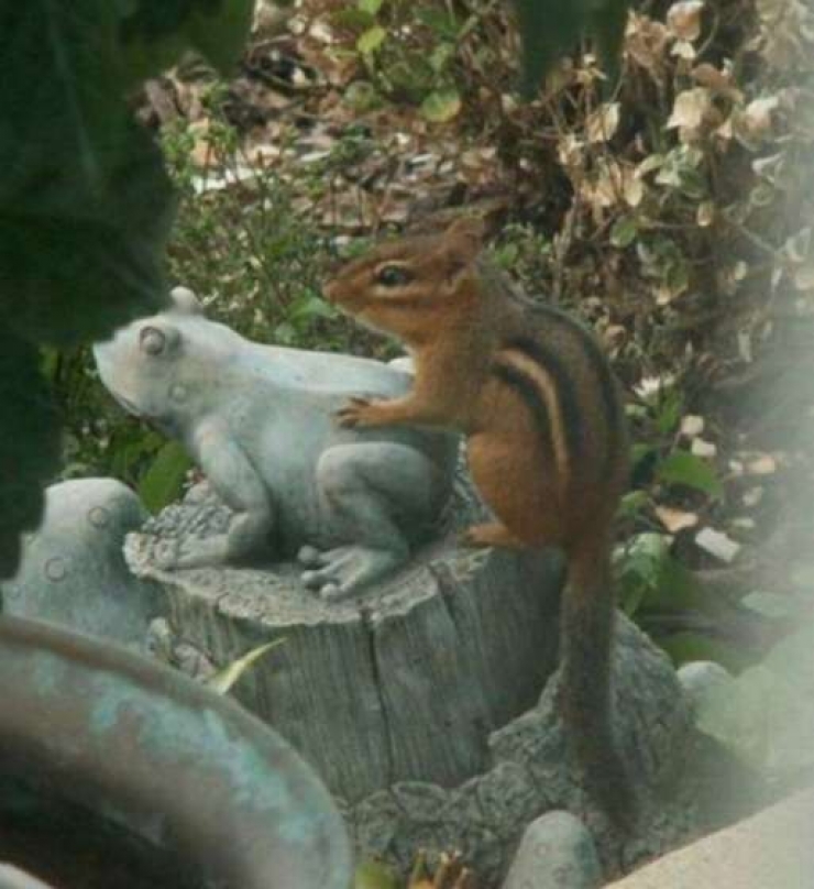 Illustration de l'article : When these 20 people come across a statue, they can't help letting their imagination run wild!