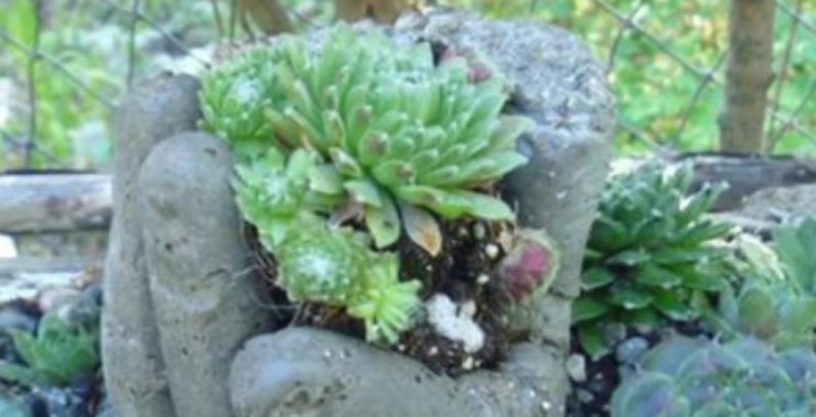 Illustration de l'article : He puts cement in plastic gloves, and two days later the result is impressive!