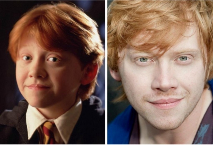 Illustration de l'article : 15 years later, what do the 12 actors in Harry Potter look like now?