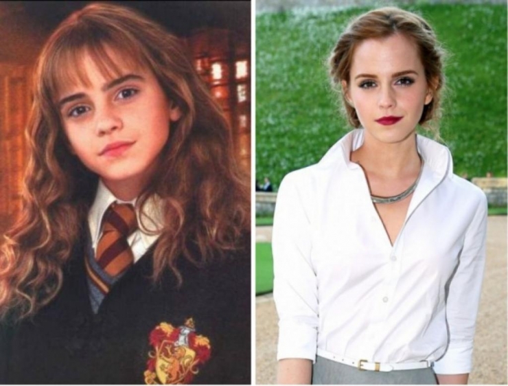 Illustration de l'article : 15 years later, what do the 12 actors in Harry Potter look like now?