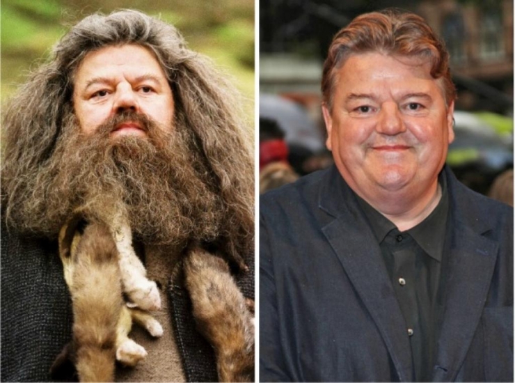 Illustration de l'article : 15 years later, what do the 12 actors in Harry Potter look like now?