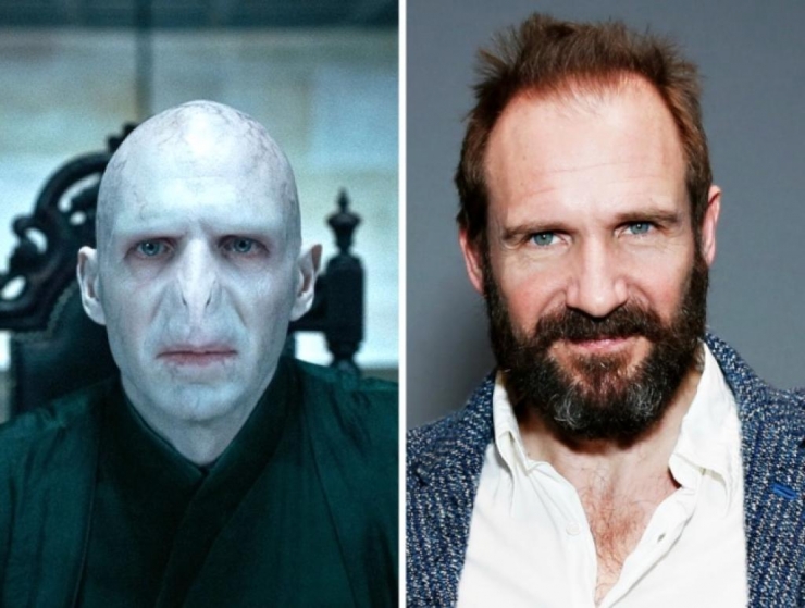 Illustration de l'article : 15 years later, what do the 12 actors in Harry Potter look like now?
