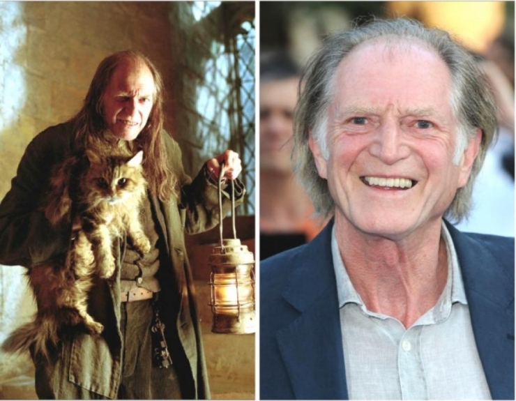 Illustration de l'article : 15 years later, what do the 12 actors in Harry Potter look like now?