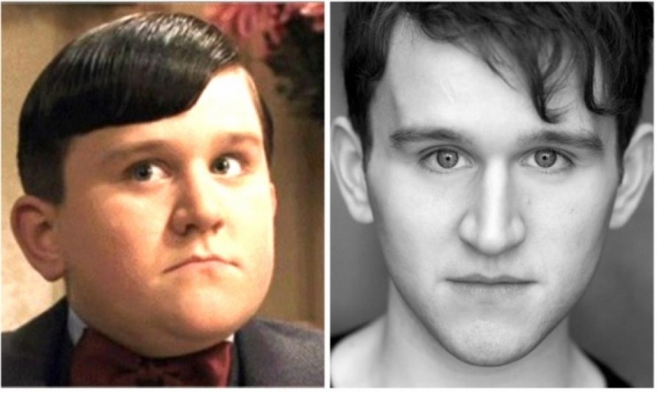 Illustration de l'article : 15 years later, what do the 12 actors in Harry Potter look like now?