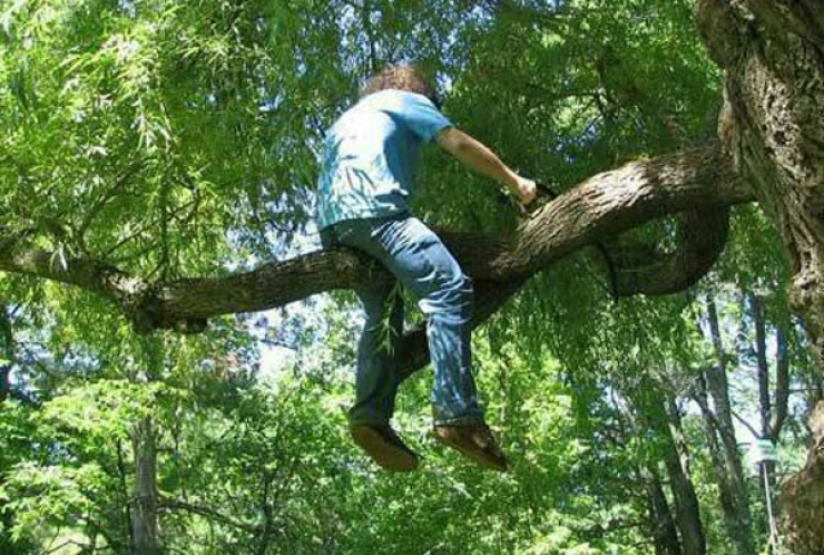 Illustration de l'article : 44 photos that explain why women live longer than men...