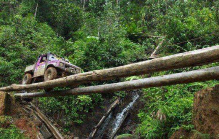 Illustration de l'article : 44 photos that explain why women live longer than men...