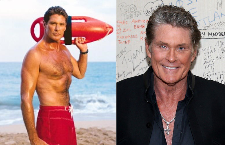 David hasselhoff is gay