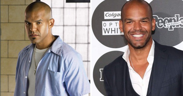 Illustration de l'article : Where are the 17 actors and actresses from the TV show &ldquo;Prison Break&rdquo; now, 11 years later?