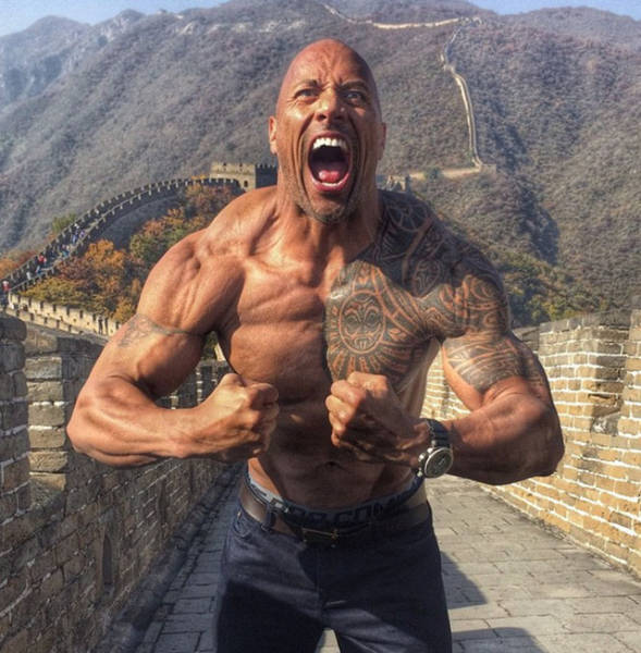 Illustration de l'article : The 17 coolest photos of Dwayne Johnson posted on Instagram