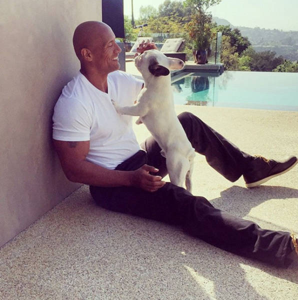 Illustration de l'article : The 17 coolest photos of Dwayne Johnson posted on Instagram