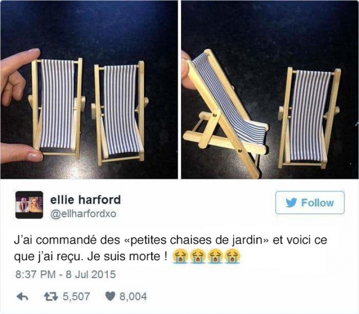 Illustration de l'article : These 21 people will never buy anything else on the internet... And they have reason!