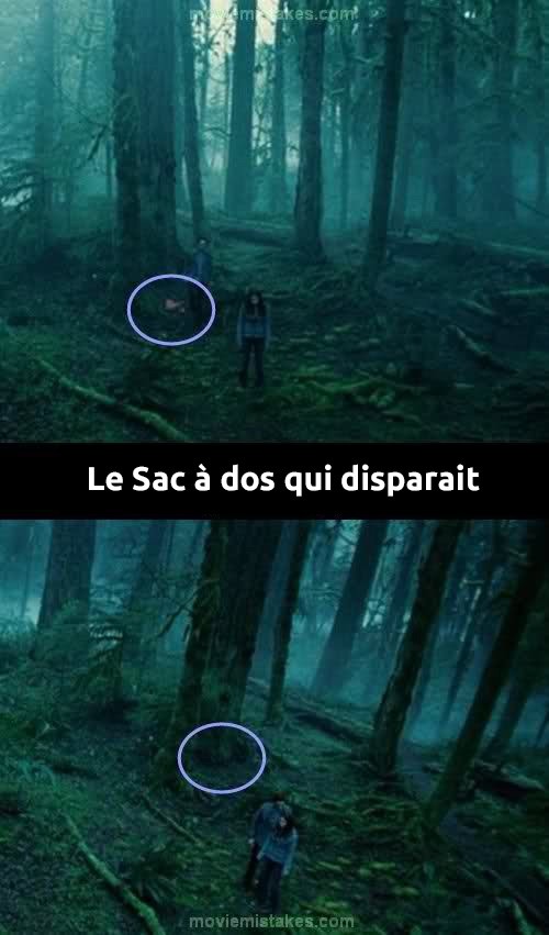 Illustration de l'article : 12 secret mistakes in the Twilight saga