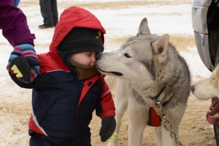 Illustration de l'article : A tribute to dogs, for all the love that they give us, in 19 photos