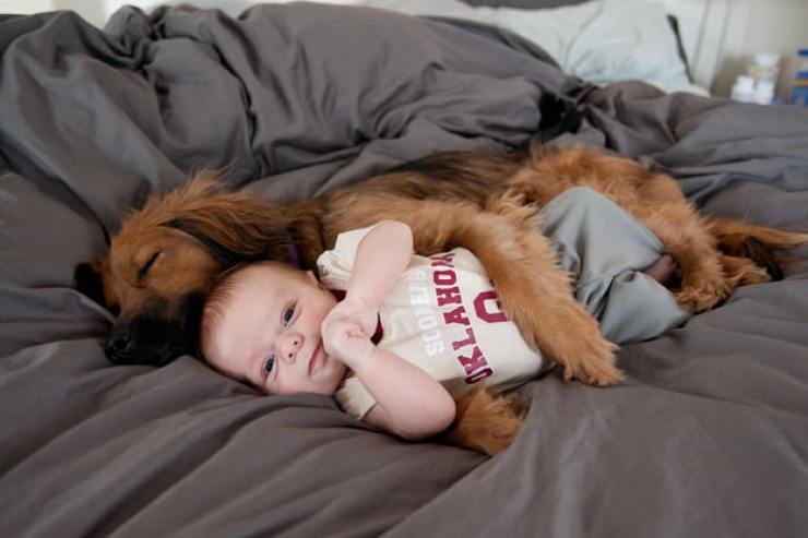 Illustration de l'article : A tribute to dogs, for all the love that they give us, in 19 photos
