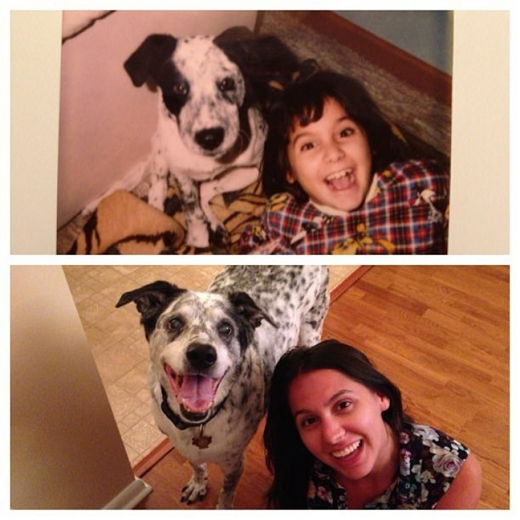 Illustration de l'article : A tribute to dogs, for all the love that they give us, in 19 photos