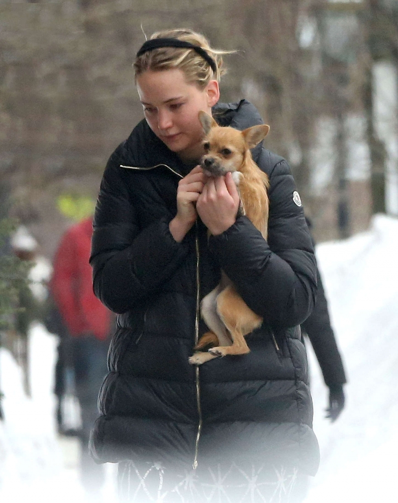 Illustration de l'article : 18 facts that you never knew about Jennifer Lawrence. Which one is the most surprising?