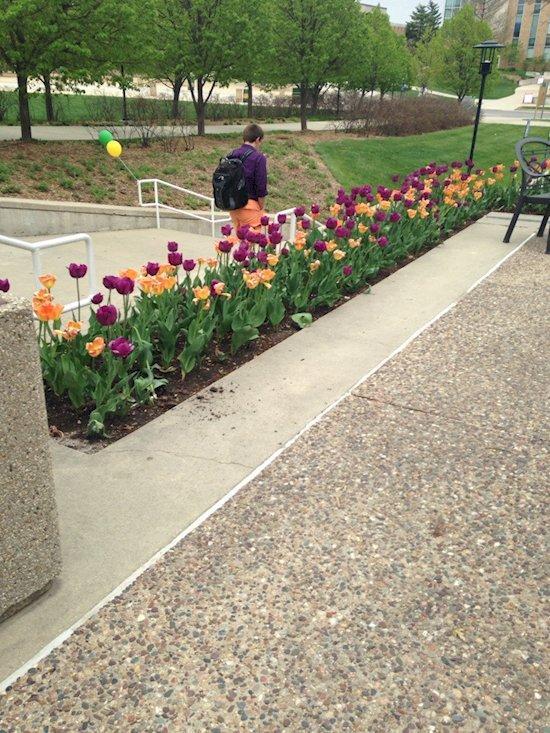 Illustration de l'article : 20 funny pictures of people who never should’ve dressed that way today!