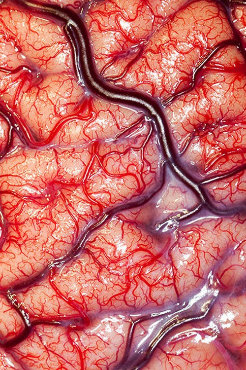 Illustration de l'article : 21 amazing photos that will move you! Which ones are the most memorable?
