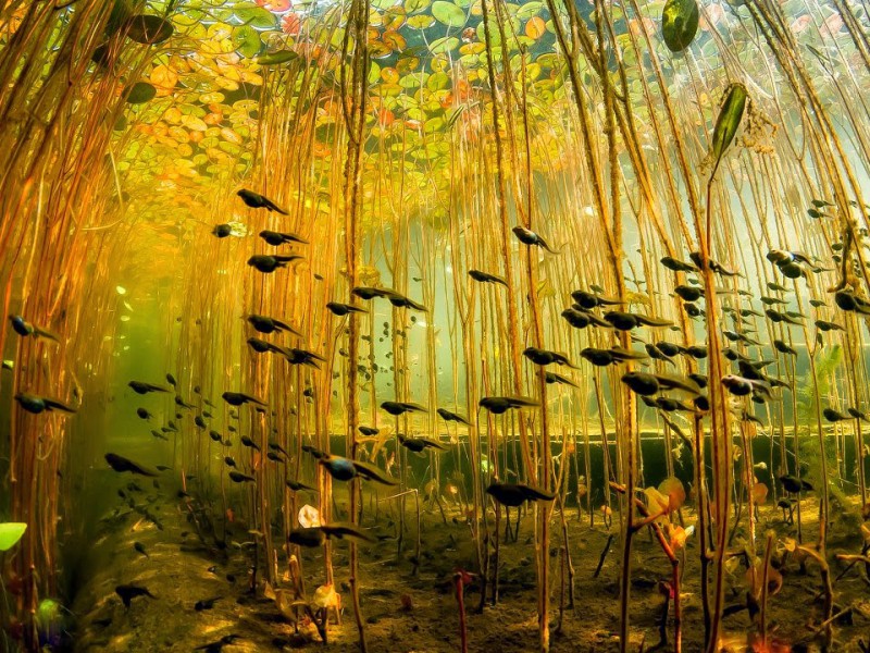 Illustration de l'article : 21 amazing photos that will move you! Which ones are the most memorable?