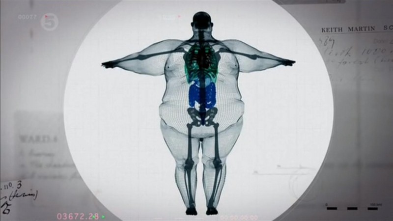 Illustration de l'article : 21 amazing photos that will move you! Which ones are the most memorable?