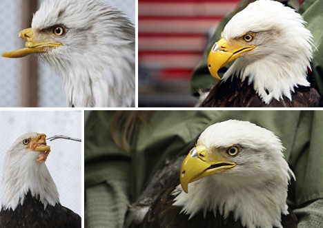 Illustration de l'article : 21 amazing photos that will move you! Which ones are the most memorable?